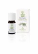 Rosemary essential oil (Rosmarinus officinalis L)  10 ml.